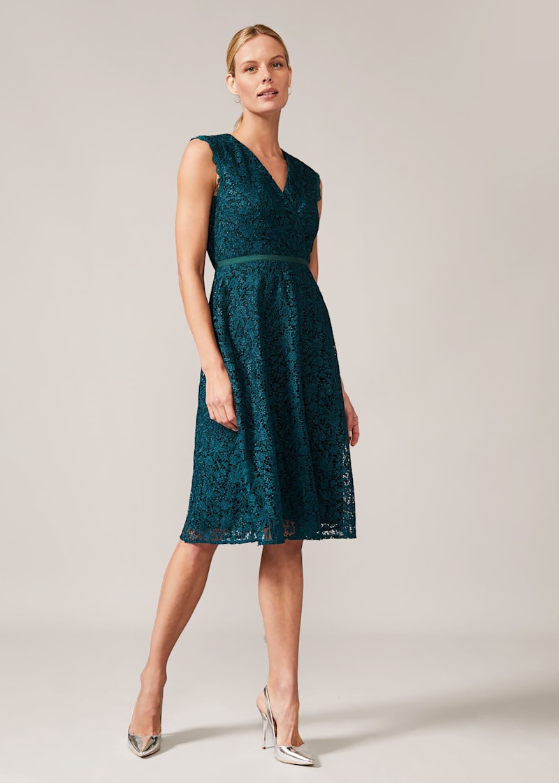 Coast ashby lace dress on sale