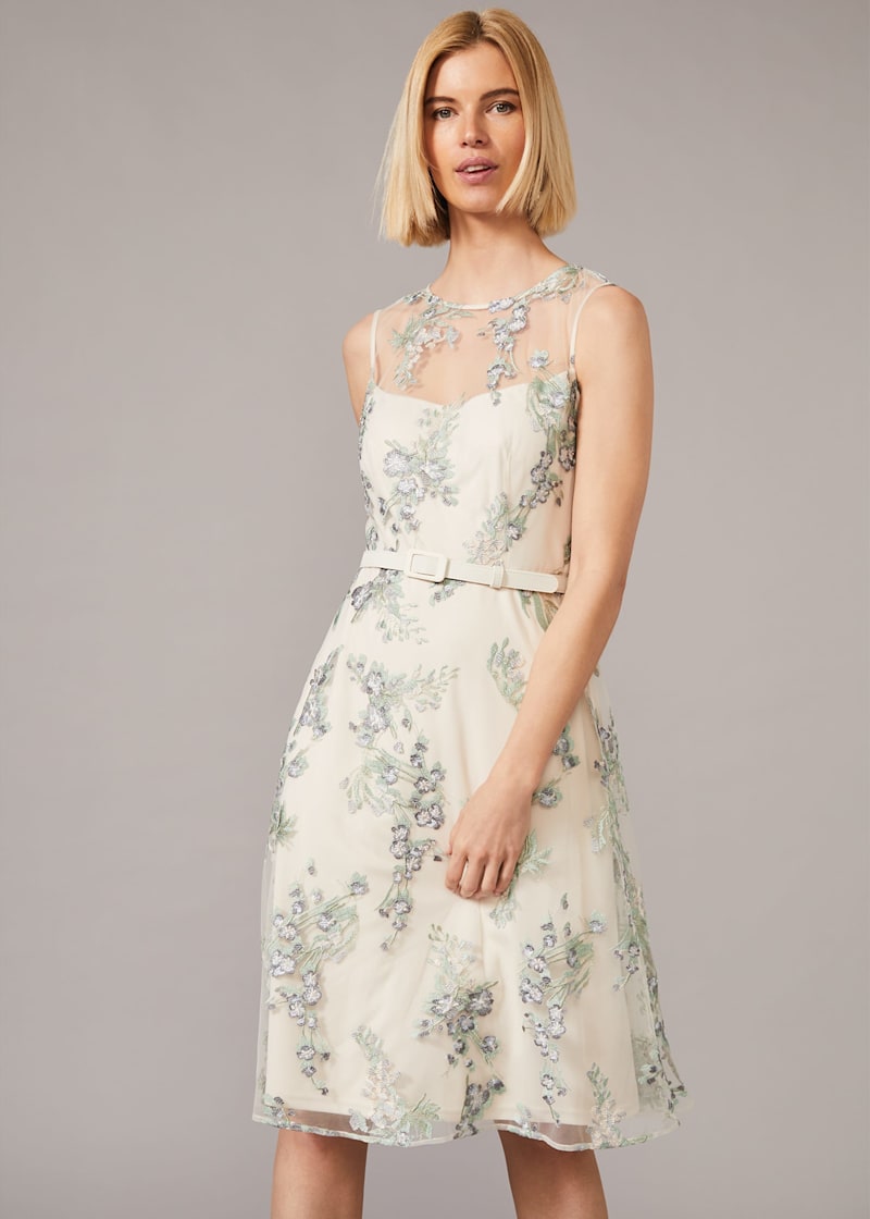 Phase eight online maddy dress oyster