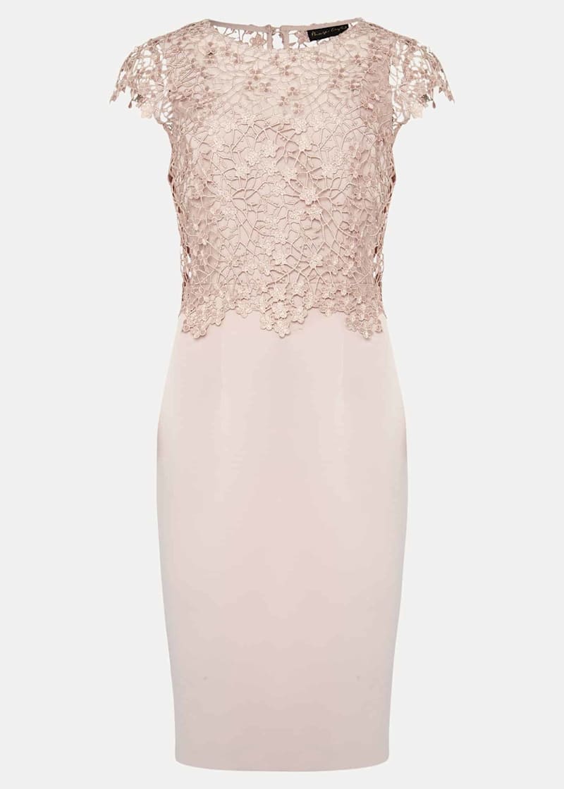 Blush Pink Lace Top Midi Dress | Phase Eight | Phase Eight UK |