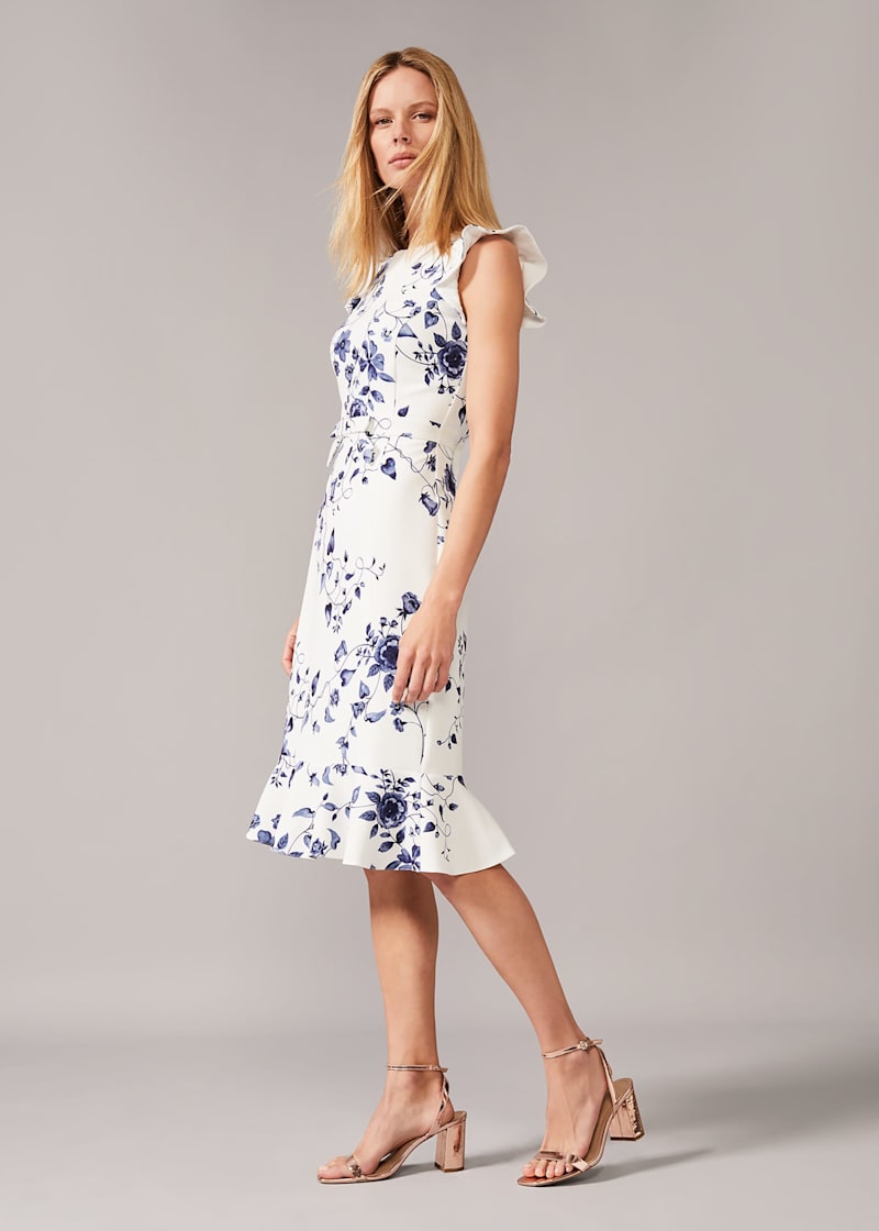 Phase eight torrie dress top