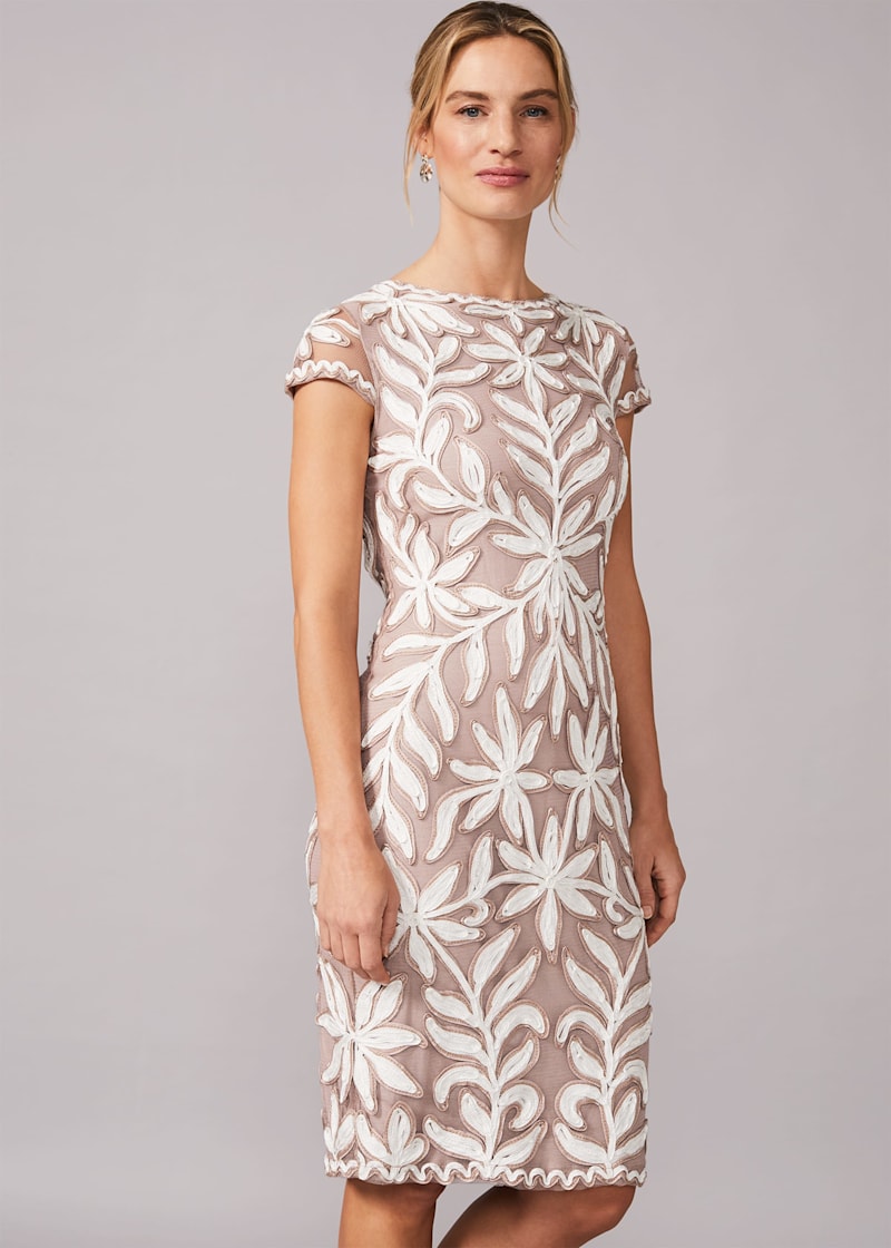 Dresses at phase eight debenhams online