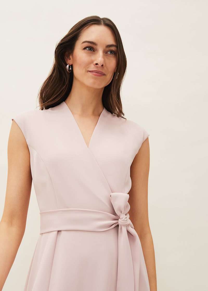 Phase eight livvy dress best sale