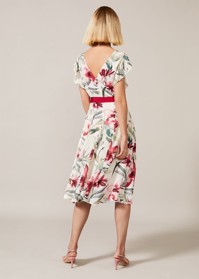 Phase eight carlotta floral dress cheap