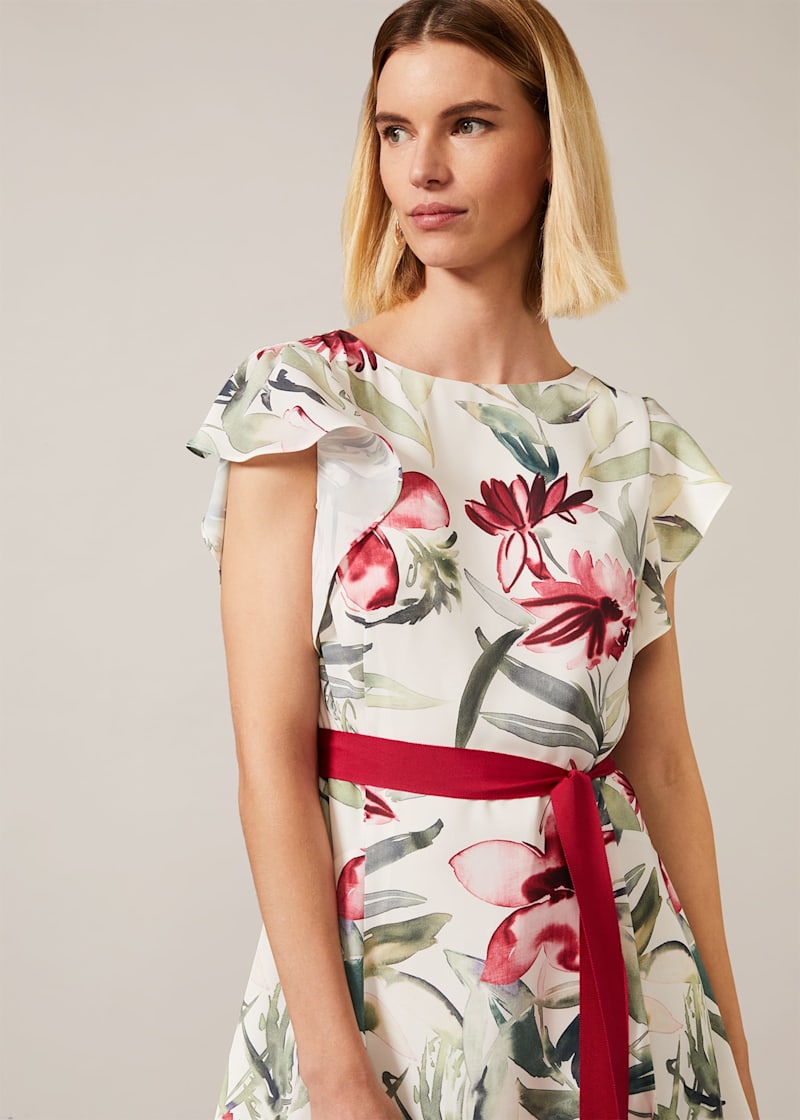 Phase eight online carlotta dress