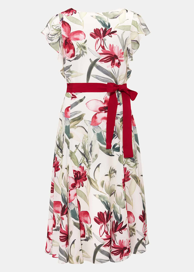 Phase eight carlotta floral dress top