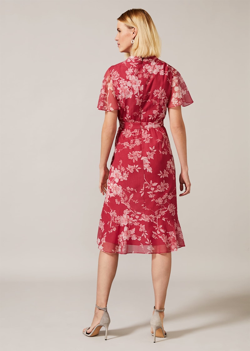 Phase eight maya printed new arrivals dress