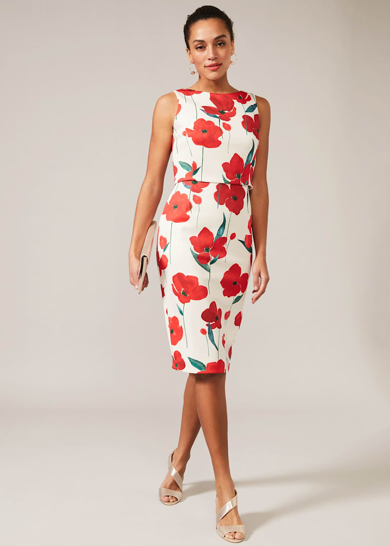 Phase eight dorothy frill dress sale