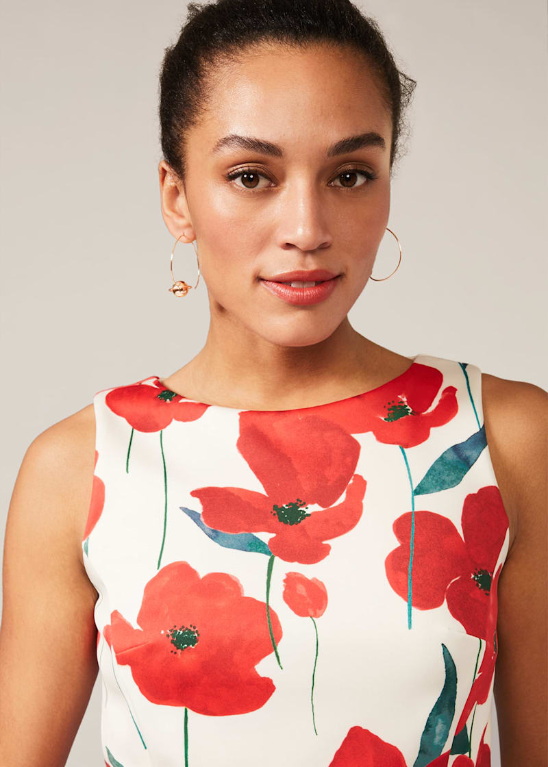 Phase eight top janette lace dress