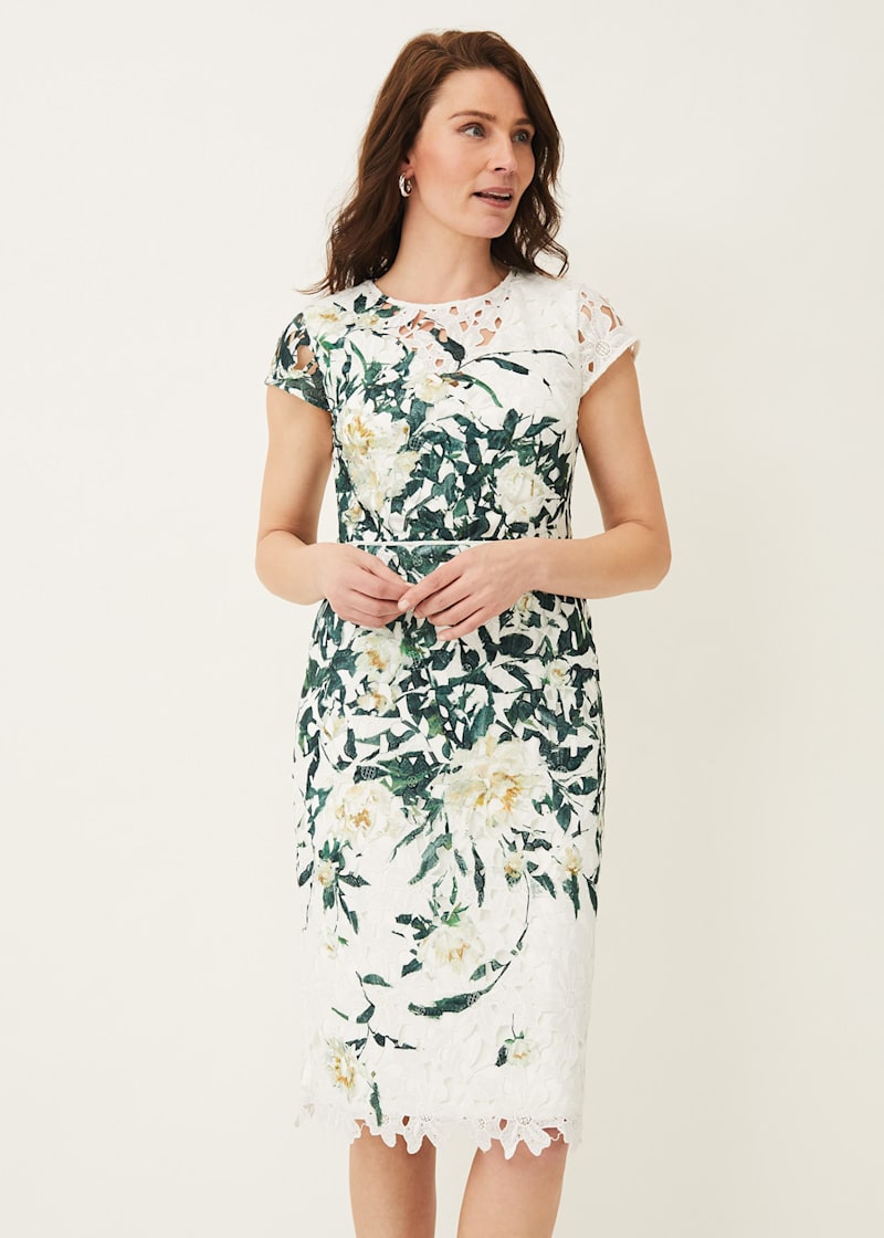Phase eight dresses size 14 shop