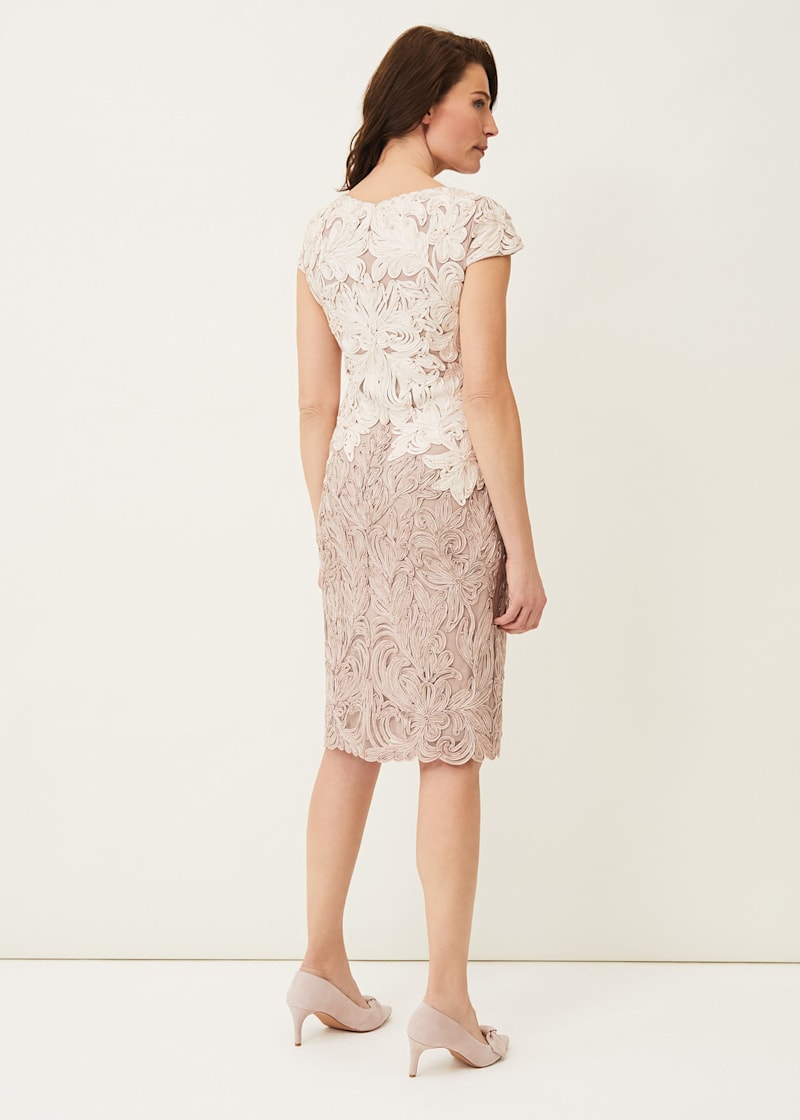 Phase eight cornelia dress online