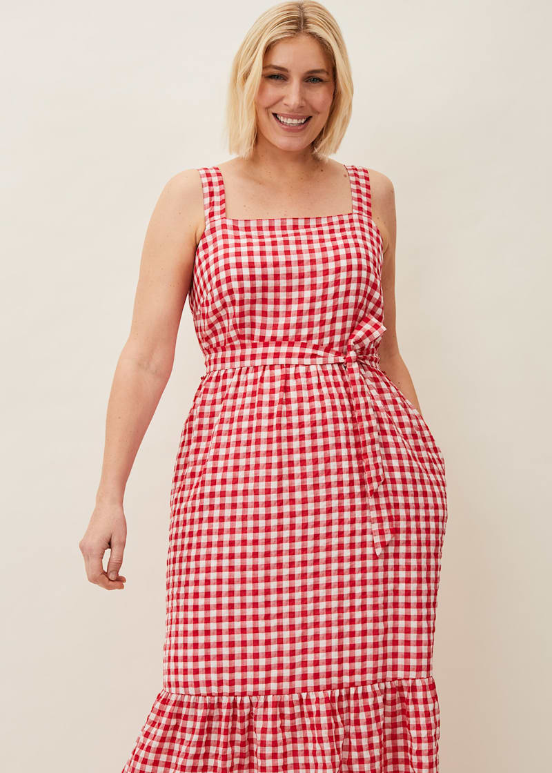 Plus size red 2025 gingham dress