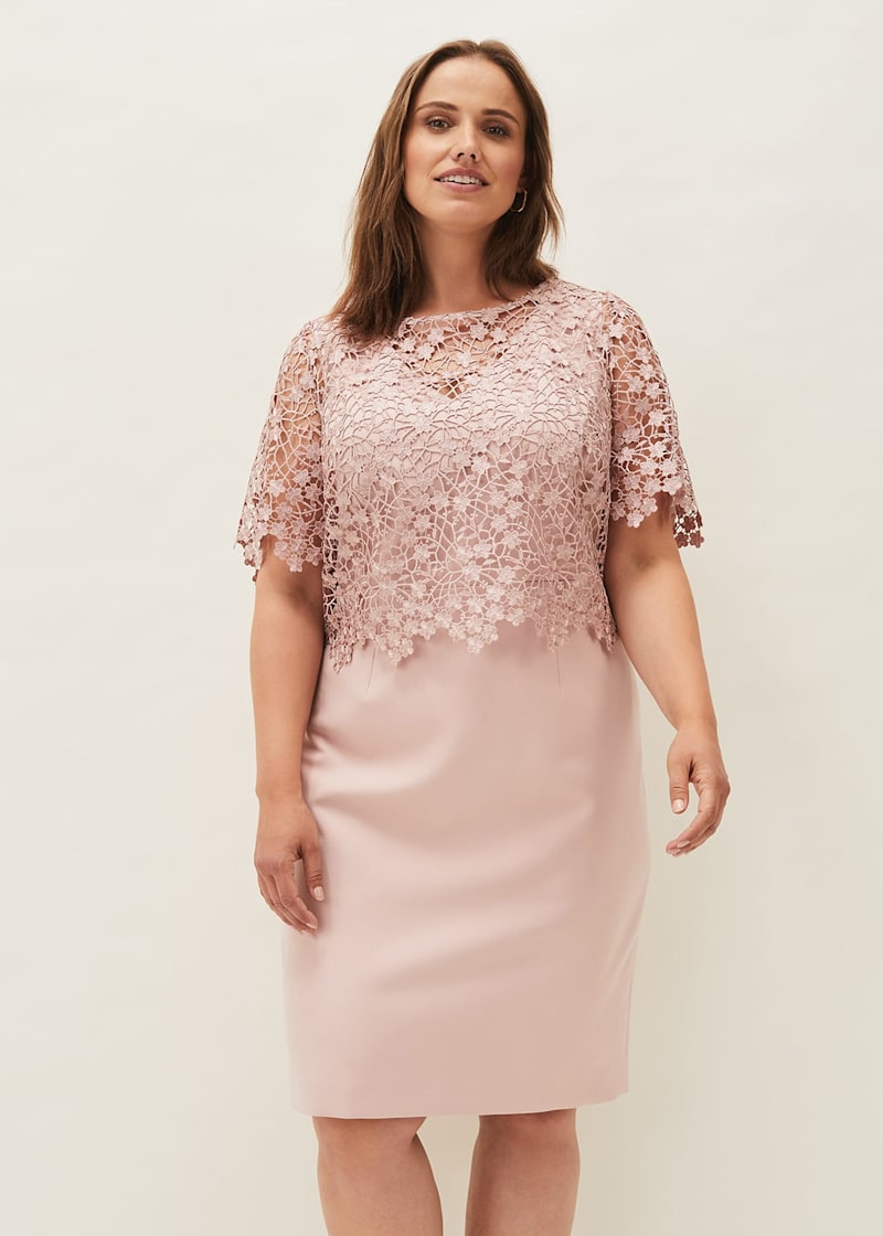 Phase eight belle lace dress best sale
