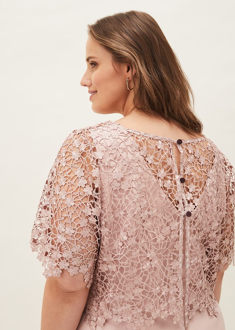 Phase eight belle lace hot sale dress