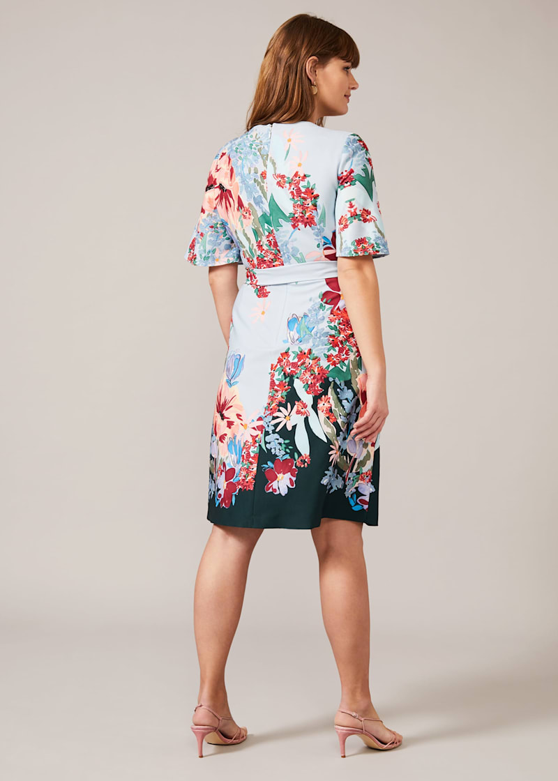 Phase eight dianah dress sales