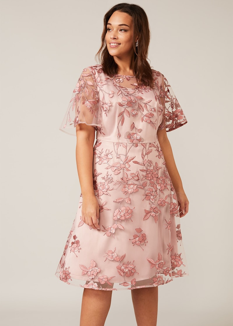 Phase eight charlotte lace dress cheap
