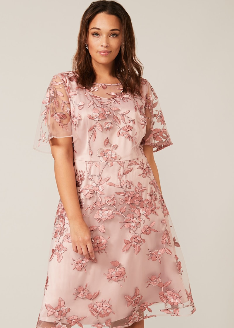 Charlotte lace dress phase eight clearance