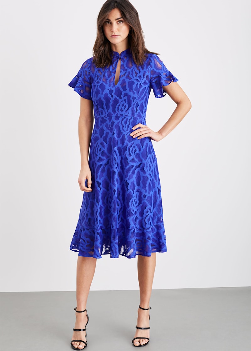 Damsel in a dress cobalt blue best sale
