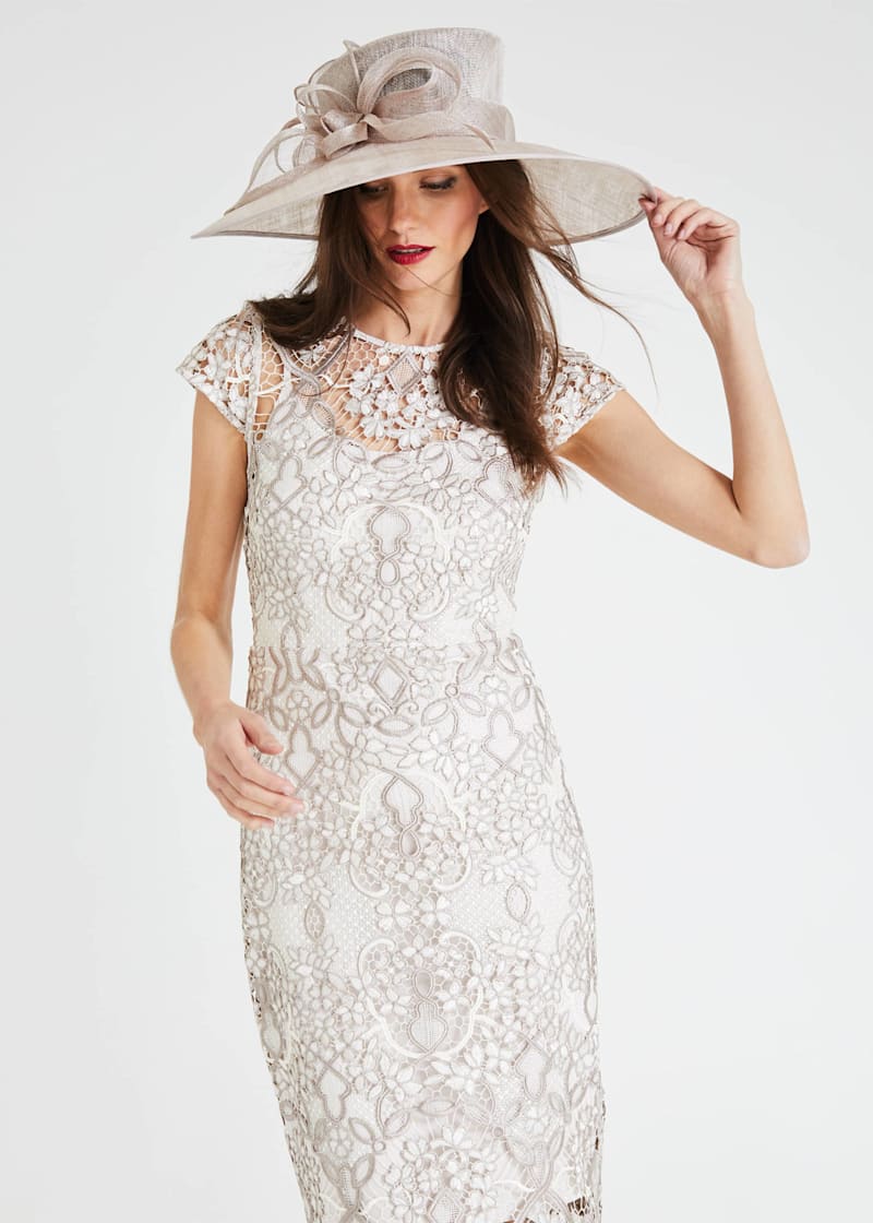 Phase eight frances lace dress outlet