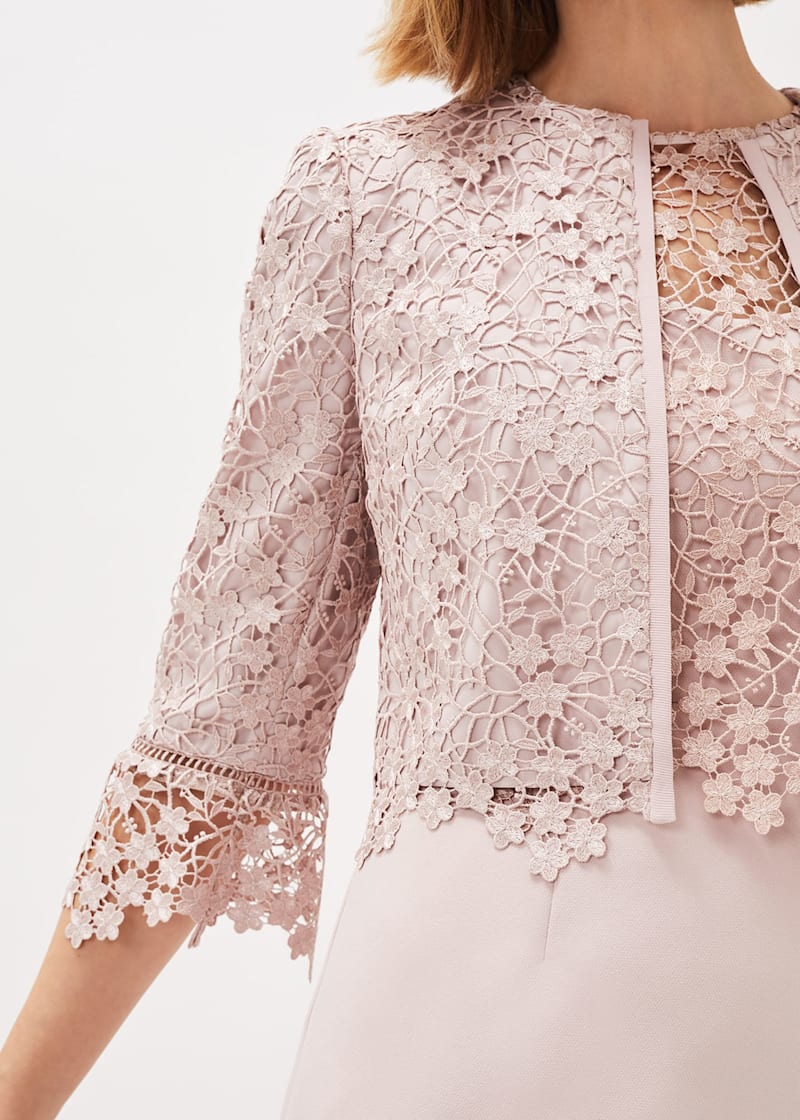 Phase eight ellise jacket online